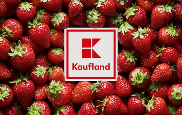 Kaufland Gutschein 100 Euro gratis beim Energietarif wechseln – cleverfuxx